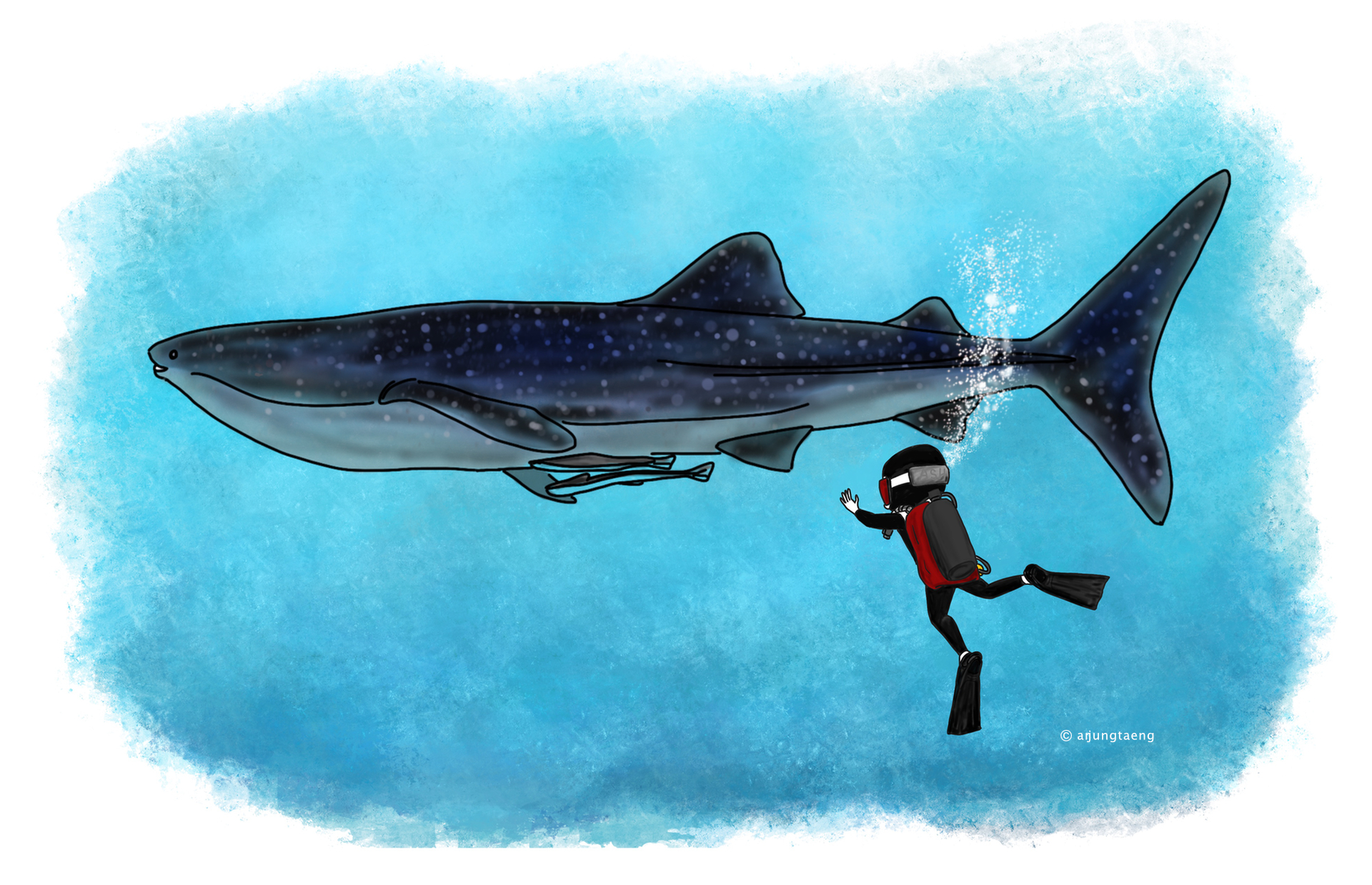 whale shark.jpg